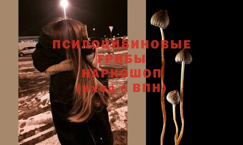 Псилоцибиновые грибы Magic Shrooms  MEGA ONION  Калязин 